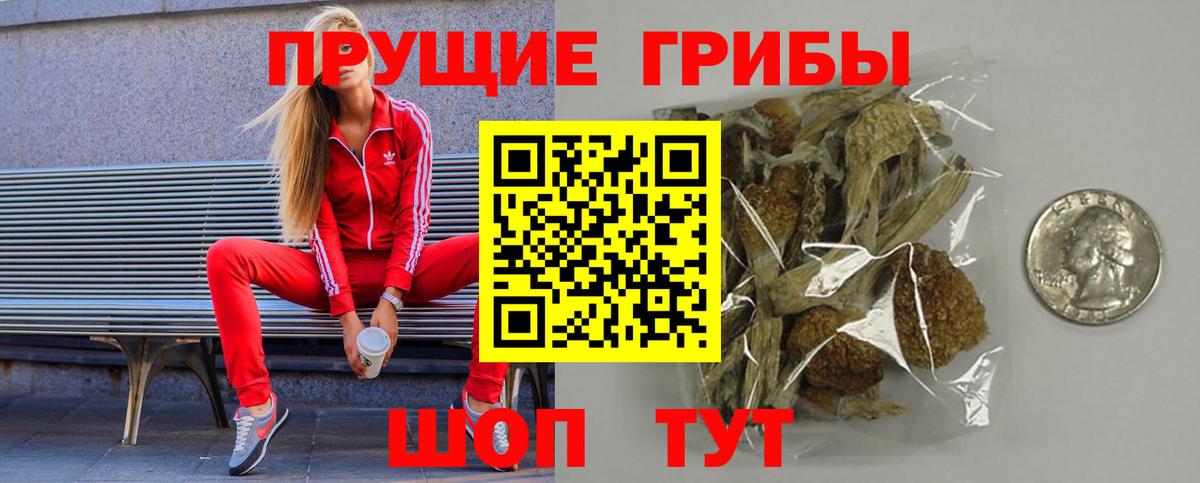 Псилоцибиновые грибы мицелий  Вход с VPN  Дмитров 