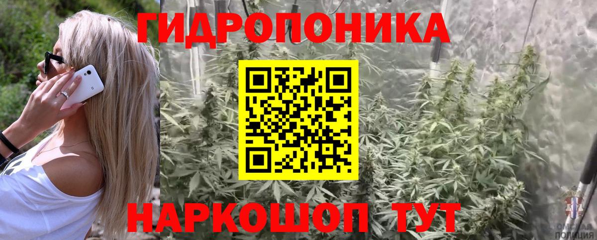 Дмитров  Бошки Шишки Amnesia  Вход с VPN  Конопля план 