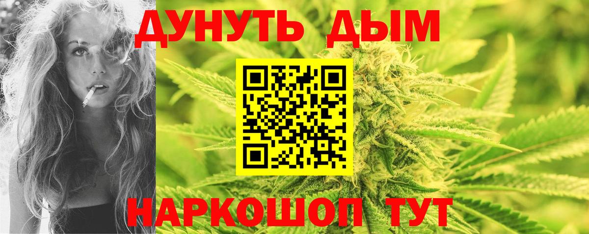 Бошки Шишки план Дмитров